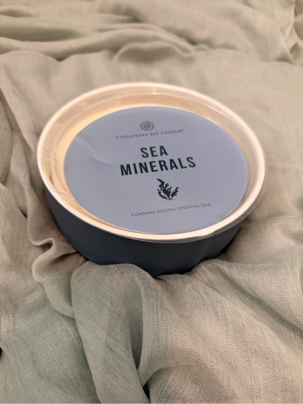 Chesapeake Bay Blue Sea Minerals Jar Candle